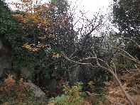 nte Fontane-201011107 061